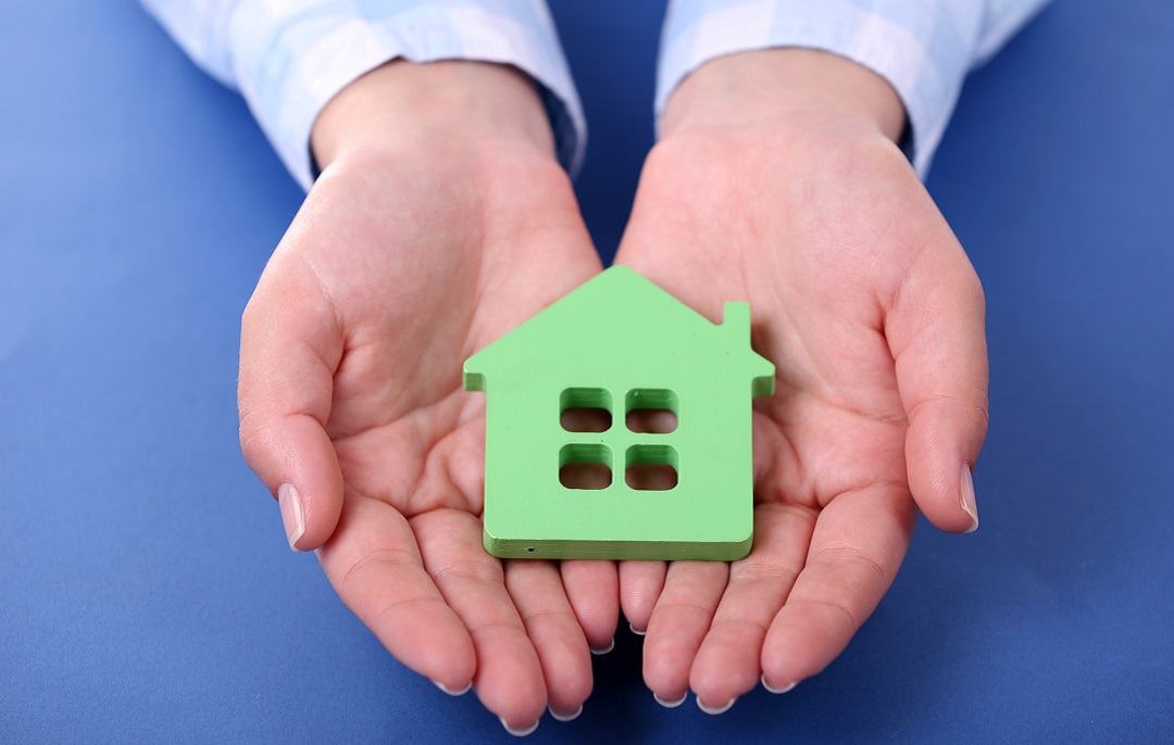 Hope For Homes How This Government Program Can Benefit You
